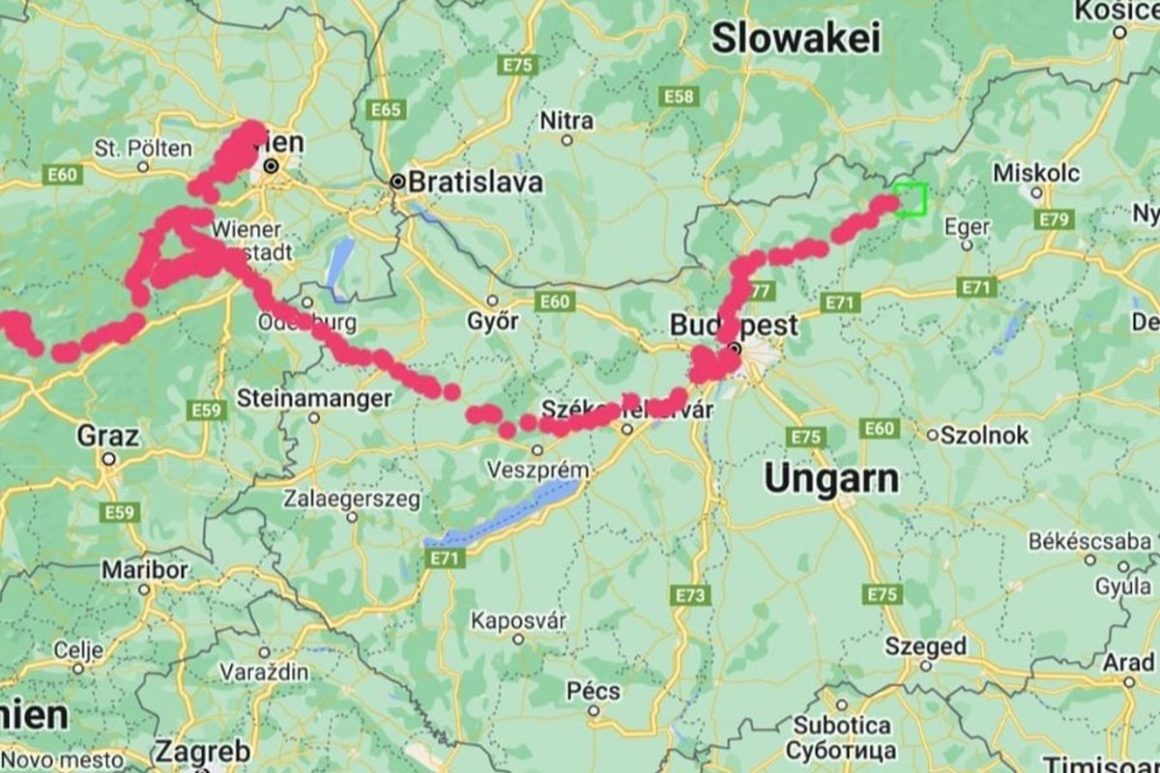 A vándorlást bemutató térképi vonal végpontja az állat múlt hét közepi tartózkodási helye (Térkép: Gruppe Wolf Schweiz | Facebook)