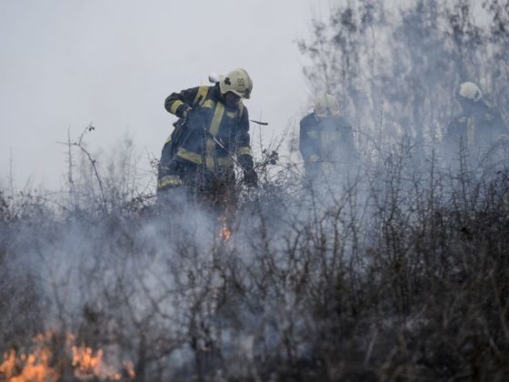 Szabadtéri tűznél dolgoznak a salgótarjáni hivatásos tűzoltók 2021 tavaszán (Archív fotó: MTI/Komka Péter)